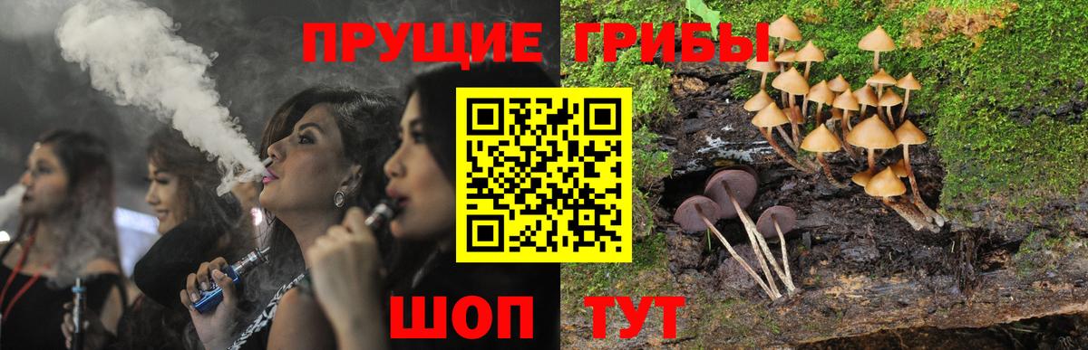 Псилоцибиновые грибы MAGIC MUSHROOMS  Вход с VPN  Псилоцибиновые грибы Psilocybine cubensis  Элиста 