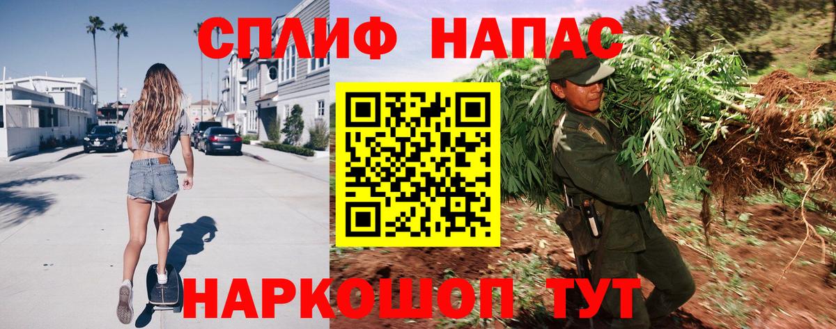 Элиста  Бошки Шишки SATIVA & INDICA  Вход с VPN  Канабис семена  Канабис гибрид 
